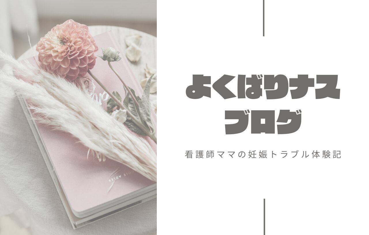 よくばりナス ブログ